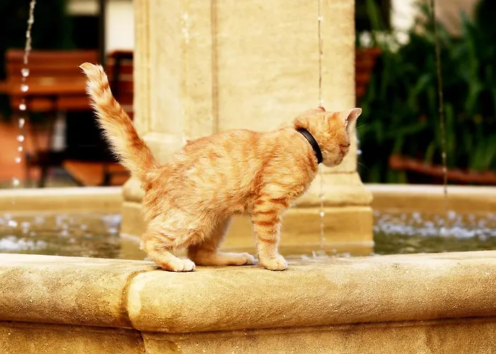 Apartahotel Garden Living - Boutique 4*