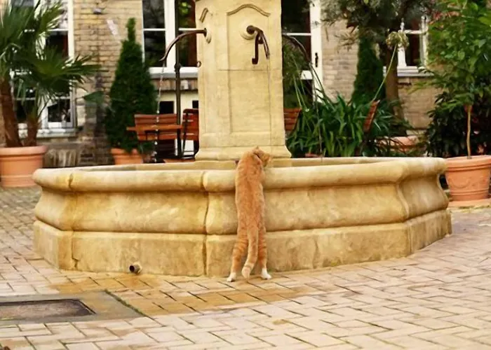 Apartahotel Garden Living - Boutique Berlín