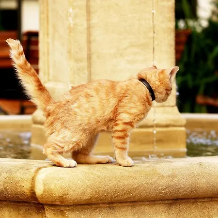 아파트호텔 Garden Living - Boutique 4*