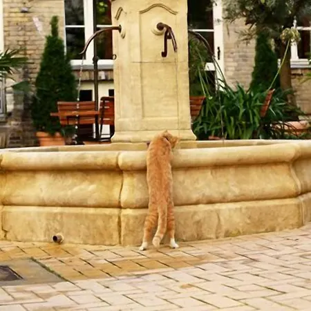 아파트호텔 Garden Living - Boutique 베를린